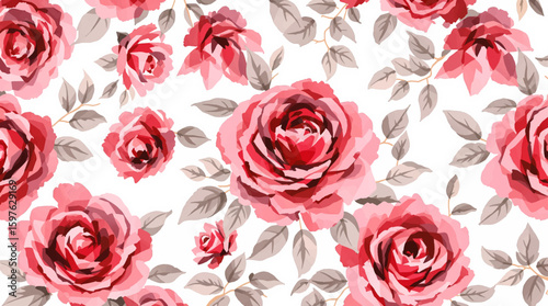 Pink roses background Watercolor