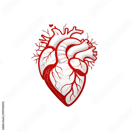 Stylized anatomical human heart with red arteries and veins, featuring a small red heart icon above.