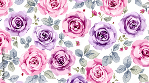 Watercolor background pattern pink and purple rose flowers on white background
