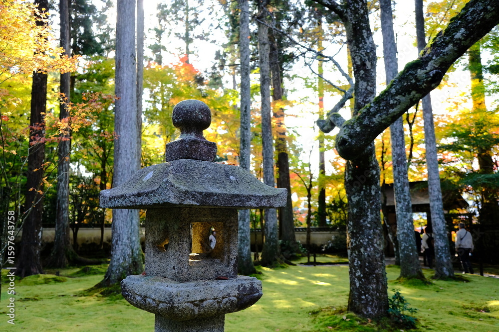日本、京都、紅葉、寺院、三千院、鳥居、木造建築、古代建築、日本文化、歷史名勝、古都京都の文化財、木、綠色、青空、秋、絶景、写真素材 日本、京都、紅葉、寺院、三千院、鳥居、木造建築、古代建築、日本文化、歷史名勝、古都京都の文化財、木、綠色、青空、秋、絶景、写真素材
