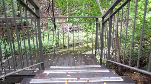 
Wooden Staircase in Lush Forest Surrounded by Greenery