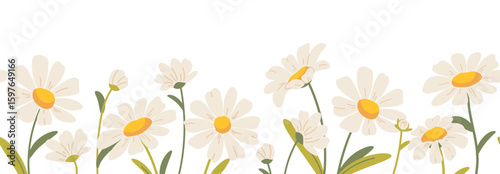 Floral frame, frame with daisies on white background. Spring botanical pattern with flat flowers. Vector horizontal panorama with chamomiles