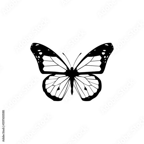 Detailed black vector of a symmetrical butterfly with transparent wings, symbolizing transformation, elegance, and nature.

