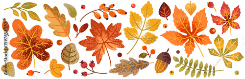 Autumn leaves set. Fall maple, oak, chestnut leaves, berries, acorn, forest foliage. Botanical elements of natural floral design. Flat vector illustration isolated on white background