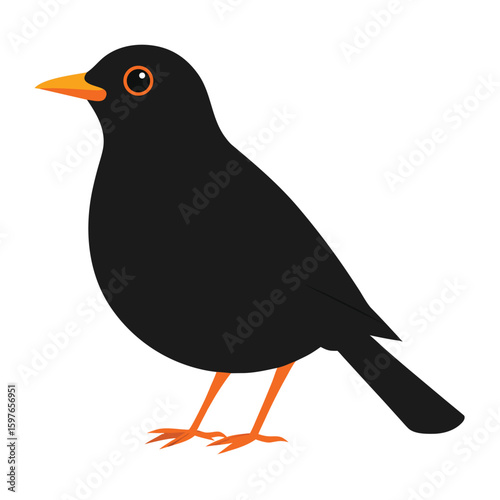 A charming illustration of a blackbird with bright orange legs and beak perched on a white background perfect for nature and wildlife themes