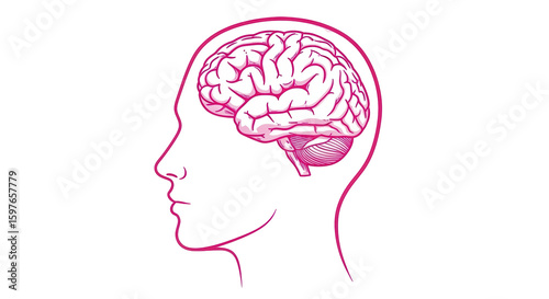 Isolated Brain Drawing on White Background