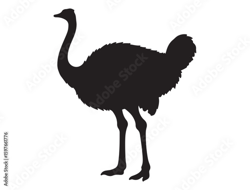 OSTRICH SILHOUETTE