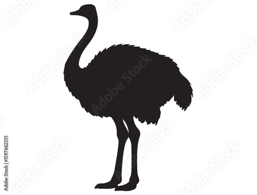 OSTRICH SILHOUETTE