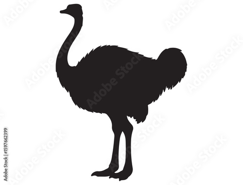OSTRICH SILHOUETTE