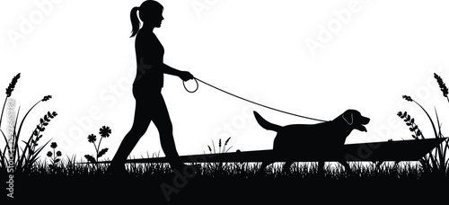 Silhouette of person walking dog in grassy field, peaceful outdoor scene, pet care, healthy lifestyle, nature activity, animal companionship
