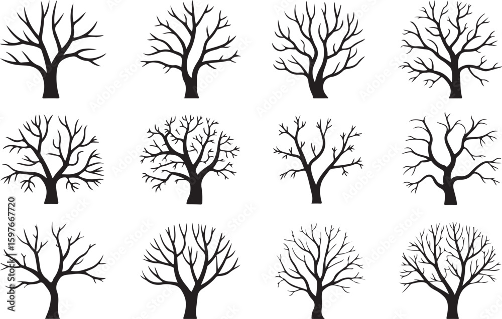 Obraz premium Bare deciduous trees with intricate branch patterns branches silhouette