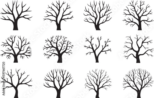 Bare deciduous trees with intricate branch patterns branches silhouette