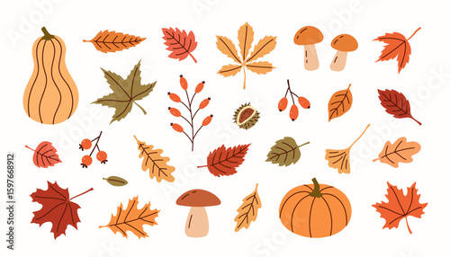 Autumn trendy set of leaves, pumpkins, berries and mushrooms