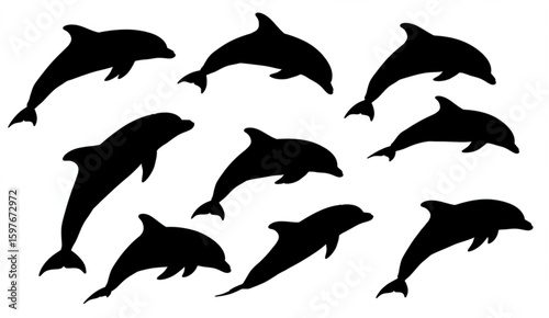 set of black silhouette of dolphin on a separate white background

