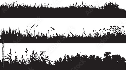 Black silhouette of wild grass and flowers white nature