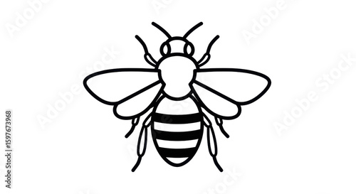 Honey bee illustration for logo or icon isolated PNG with Transparent Background