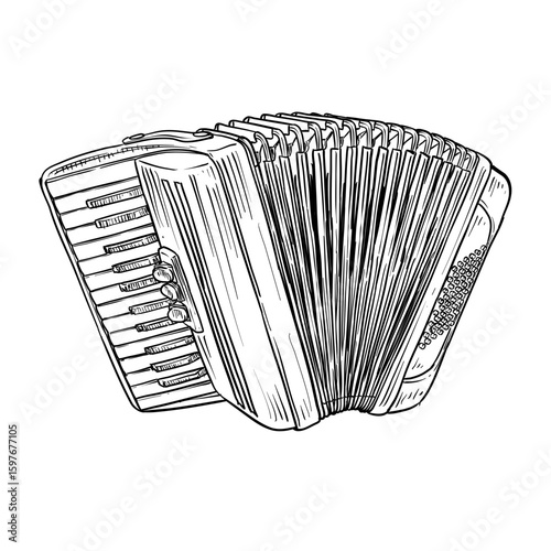 accordion vector hand drawn illustration