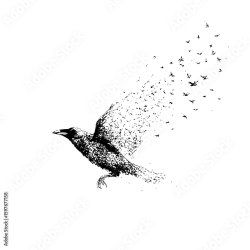 A detailed black and white sketch of a crow transforming into a flock of smaller birds in flight