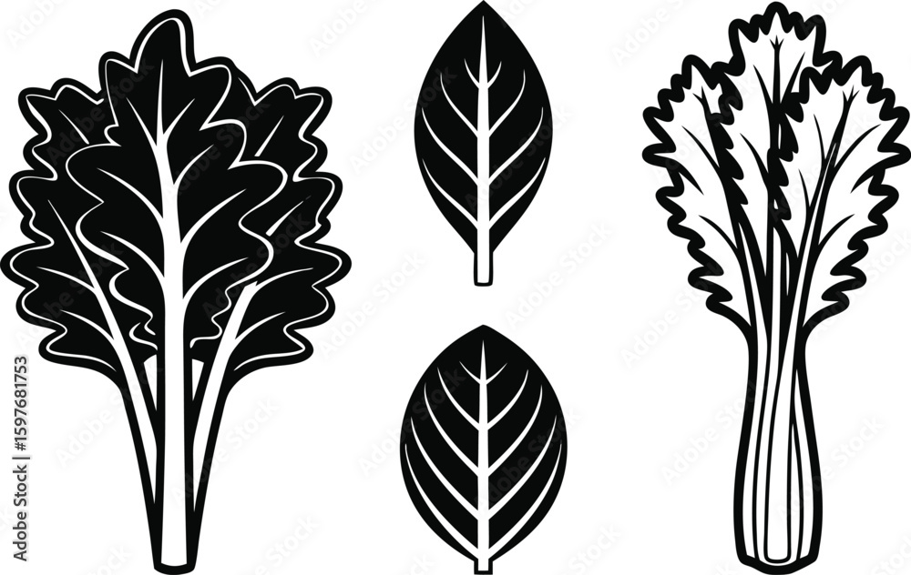 Fototapeta premium Black and white illustration of various leafy green vegetables