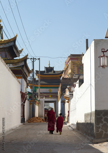 Tibetan monks walking in the street of Rongwo monastery, Tongren County, Longwu, China