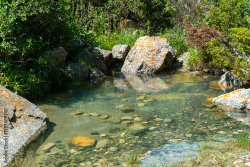 Crystal clear mountain creek surrounded by large boulders, vibrant greenery, and wild plants, creating a tranquil setting ideal for outdoor adventure, exploration, and nature appreciation