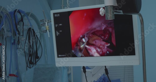 The veterinary clinic uses advanced technology to perform gastroscopy, which allows removing a foreign object from the dog's stomach, ensuring the health and safety of the pet.