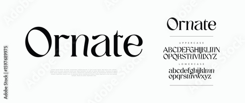 Ornate elegant serif font logo. Classic modern typography with uppercase and lowercase letters. Perfect for branding, fashion, editorial, wedding, and luxury design. Vector illustration.

