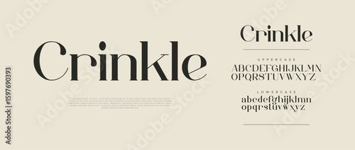 Crinkle elegant serif font logo. Classic modern typography with uppercase and lowercase letters. Stylish design for branding, fashion, editorial, and wedding projects. Vector illustration.

