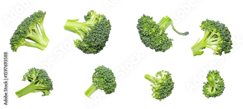 Photography broccoli florets isolated on transparent background