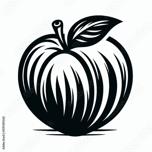 Peach. Cartoon Minimal Logo Clipart Silhouette Vector Line Art Illustration. Mellow fruit information about the stone fruit a cultivar for cooking use.