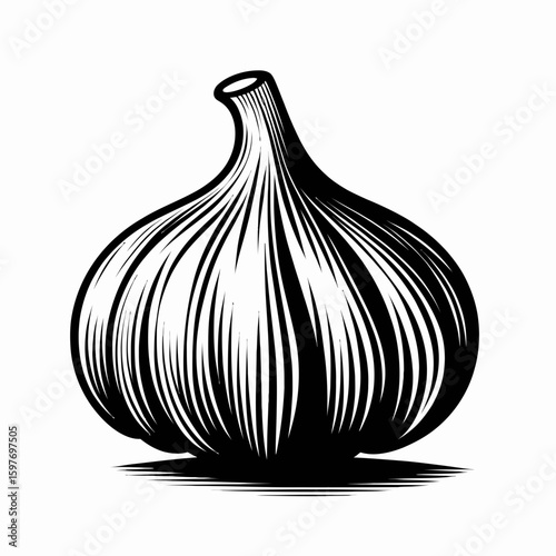 Garlic. Cartoon Minimal Logo Clipart Silhouette Vector Line Art Illustration. Potent bulb flavor addition cooking ingredient health benefit sharp taste.