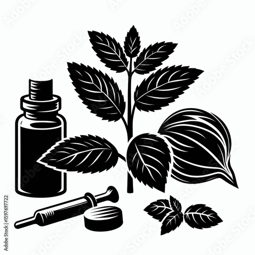 Mint. Cartoon Minimal Logo Clipart Silhouette Vector Line Art Illustration. Cultivate spearmint herb a garden item herbal flavoring culinary preparation.