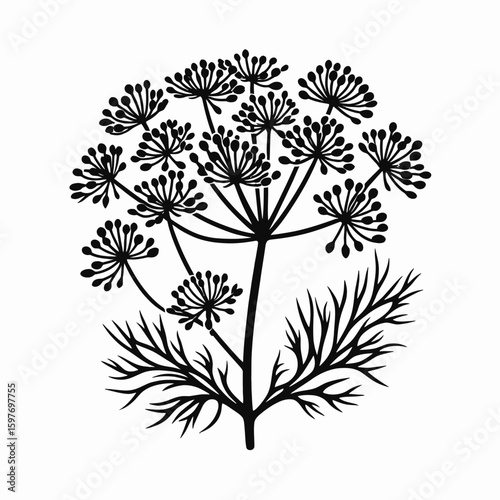Dill. Cartoon Minimal Logo Clipart Silhouette Vector Line Art Illustration. Flavoring herb a culinary additive for seasoning victuals enhance dishes.