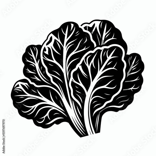 Collard greens. Cartoon Minimal Logo Clipart Silhouette Vector Line Art Illustration. Leafy cabbage a nutritious vegetable cooking recipes health benefit advice.