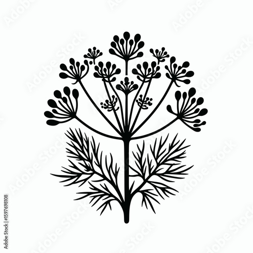Fennel. Cartoon Minimal Logo Clipart Silhouette Vector Line Art Illustration. Herb option a flavoring additive raw bulb for cooking and kitchen garden choice.
