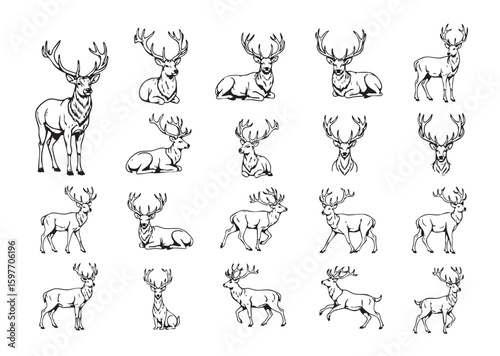 Elegant vector illustrations of majestic stags in diverse poses, perfect for nature, hunting, and wildlife themes.