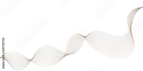 Abstract black and white grey light waves lines smooth flowing soft motion and calm pattern white  background.