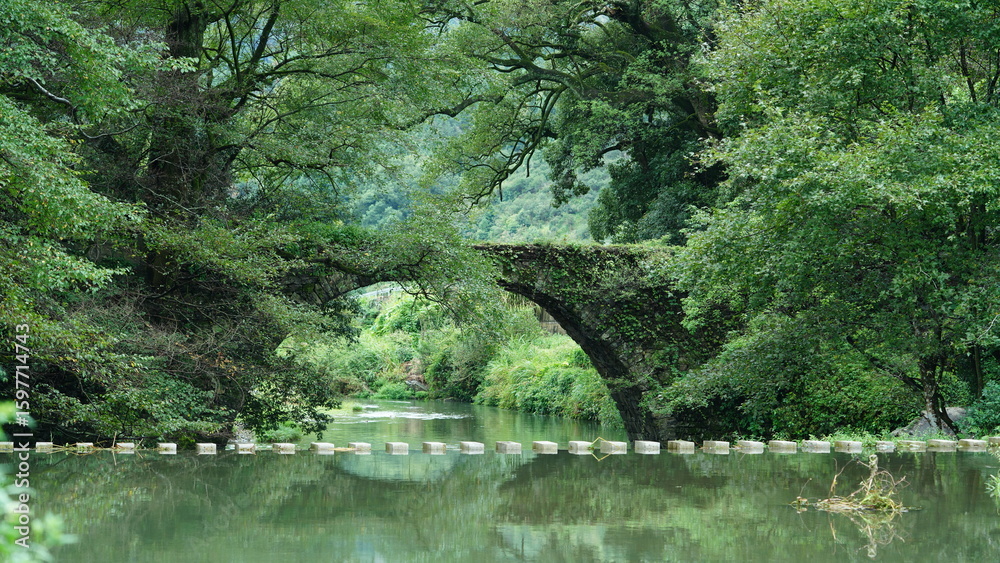 Obraz premium One old traditional Chinese village view with the old arched stone bridge in the Southern countryside of the China