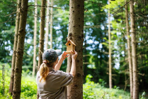 Fotografie Woman ornithologist attaching handmade birdhouse to tree in forest environment f
