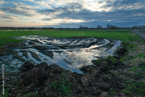 Water on the meadow at the manure storage site and the evening sky