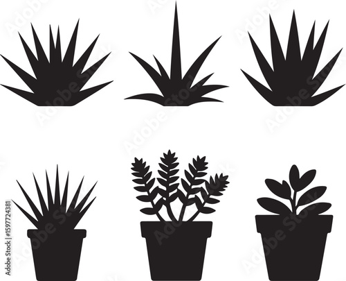 Gardening Tree cactus vintage silhouette vector icon illustration