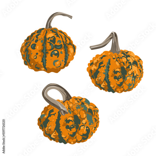 Set of funny small decorative pimpled pumpkins isolated on white. Pimply and warty gourds vector illustration.