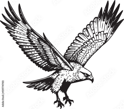 Soaring Eagle: The majestic avian spirit gracefully displays its impressive wingspan as it soars through the sky, its sharp eyes fixed on its targeted destination.