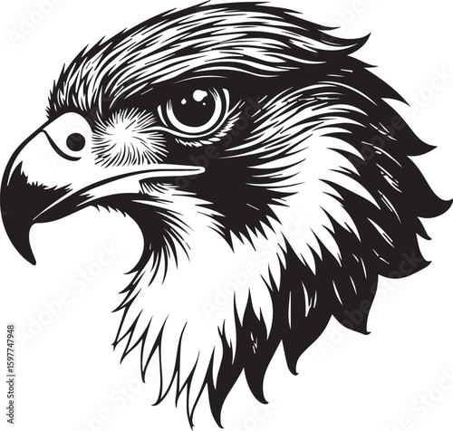 Majestic Eagle Portrait: A striking monochrome illustration of an eagle's head showcases its keen gaze and sharp features, emphasizing its powerful and commanding presence.