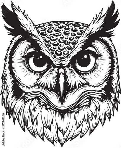Wise Owl Portrait: A detailed illustration of a wise owl's head, rendered in bold black lines, captivates with its intense gaze and textured feathers.