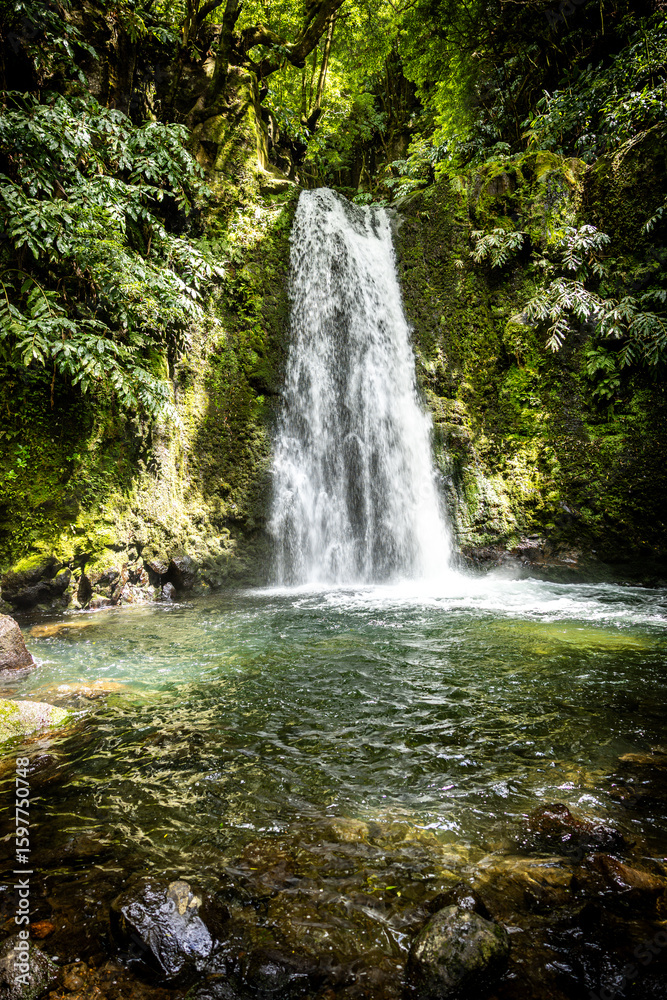 Fototapeta premium Vertical View of Jungle Waterfall in São Miguel
