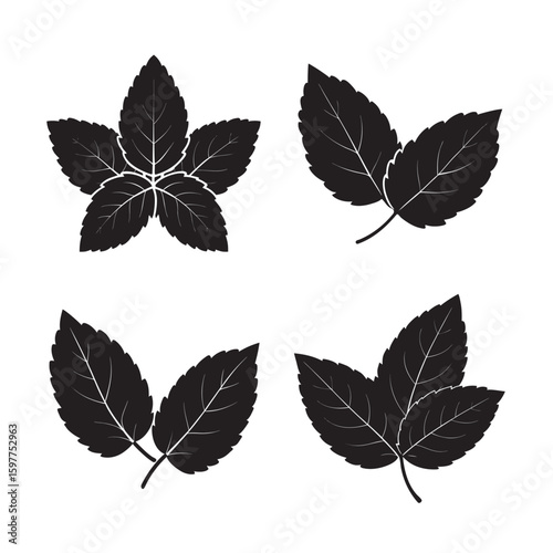 mint branch with leaves silhouette set bundle