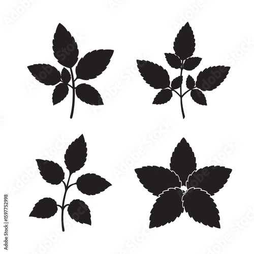 mint branch with leaves silhouette set bundle