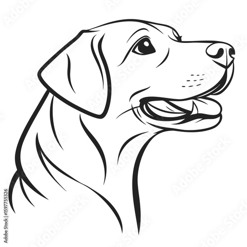 Minimalist line art labrador retriever face isolated on white background