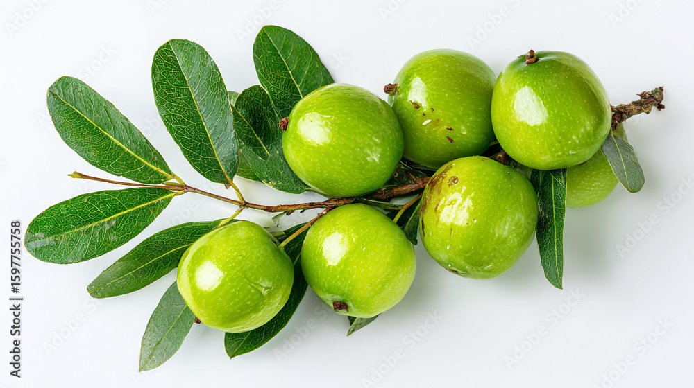Obraz premium A bunch of green jujube fruits with leaves on a white background, with copy space. The fresh, organic plant food is healthy and natural for eating or making juice.
